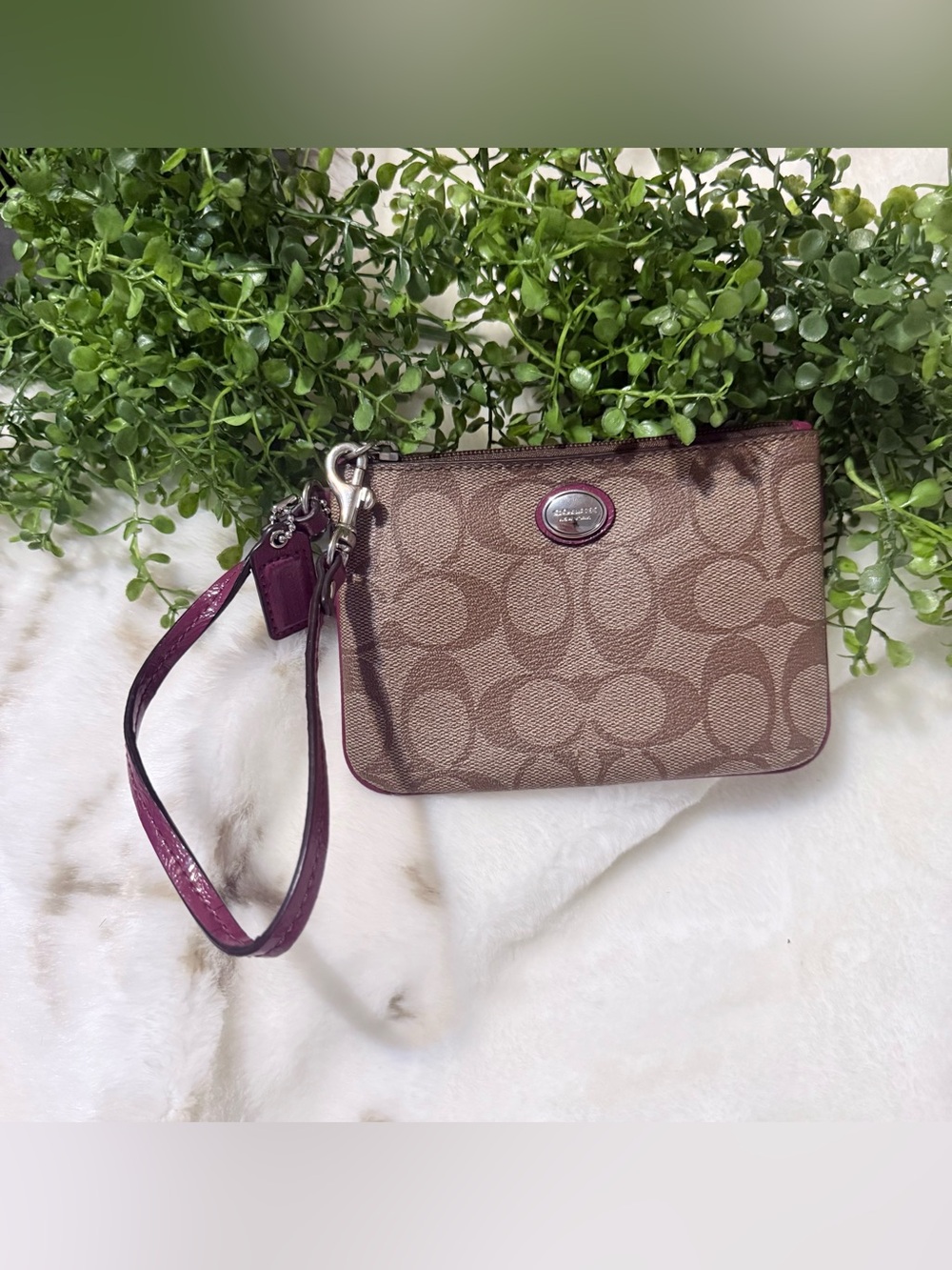 Coach Brown Signature Canvas Wristlet with Plum Strap